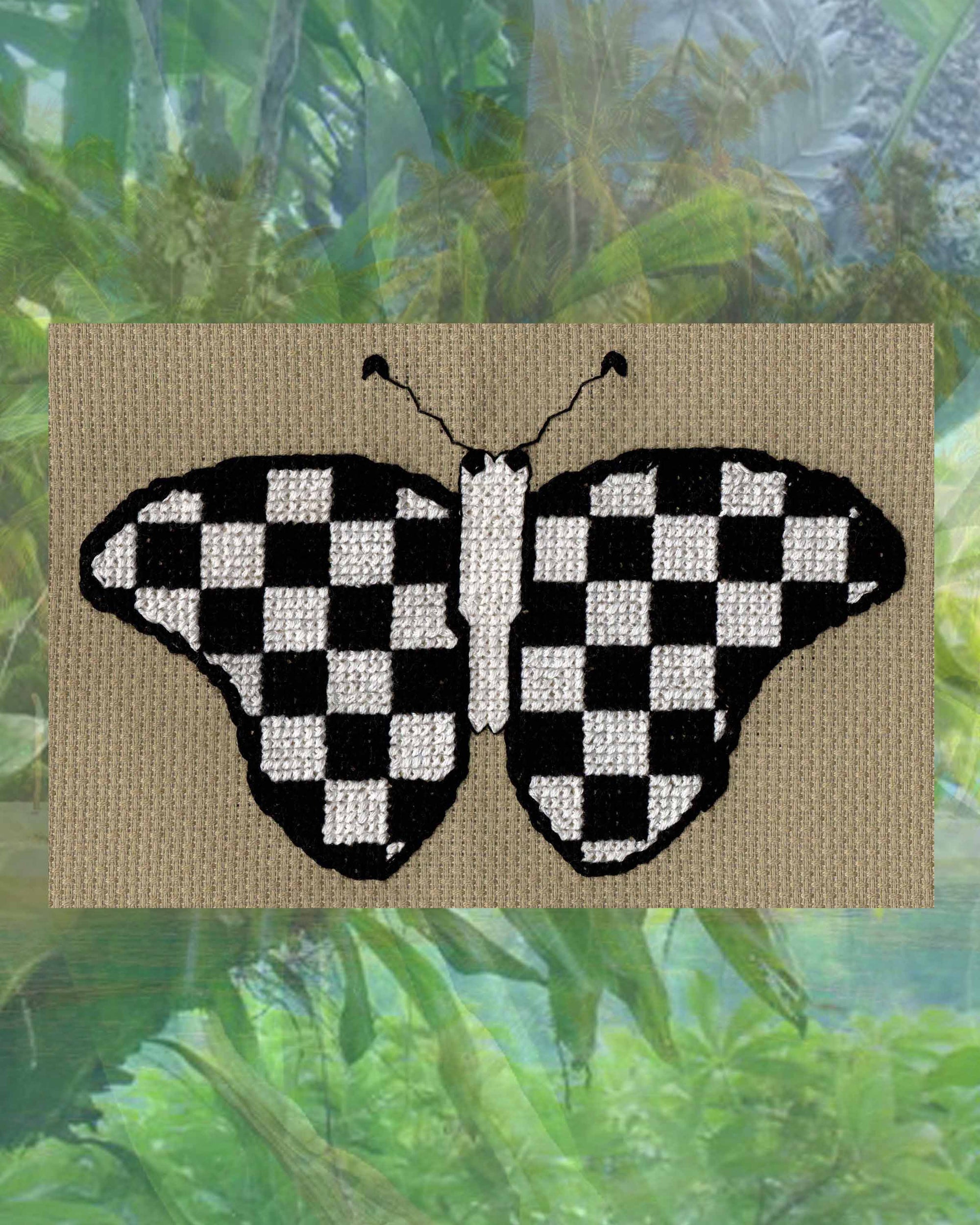 Checkered Black and white butterfly cross stitch pattern download PDF digital file is one of three designs in the Mardi Gras Butterflies Cross-Stitch Pattern for sale at Raspberry Lane Crafts by American artist Wendy Christine.  Not available at amazon.com etsy.com facebook.com No shipping needed.  Printout 