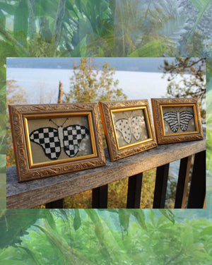 Mardi Gras Butterfly Cross Stitch Pattern Download