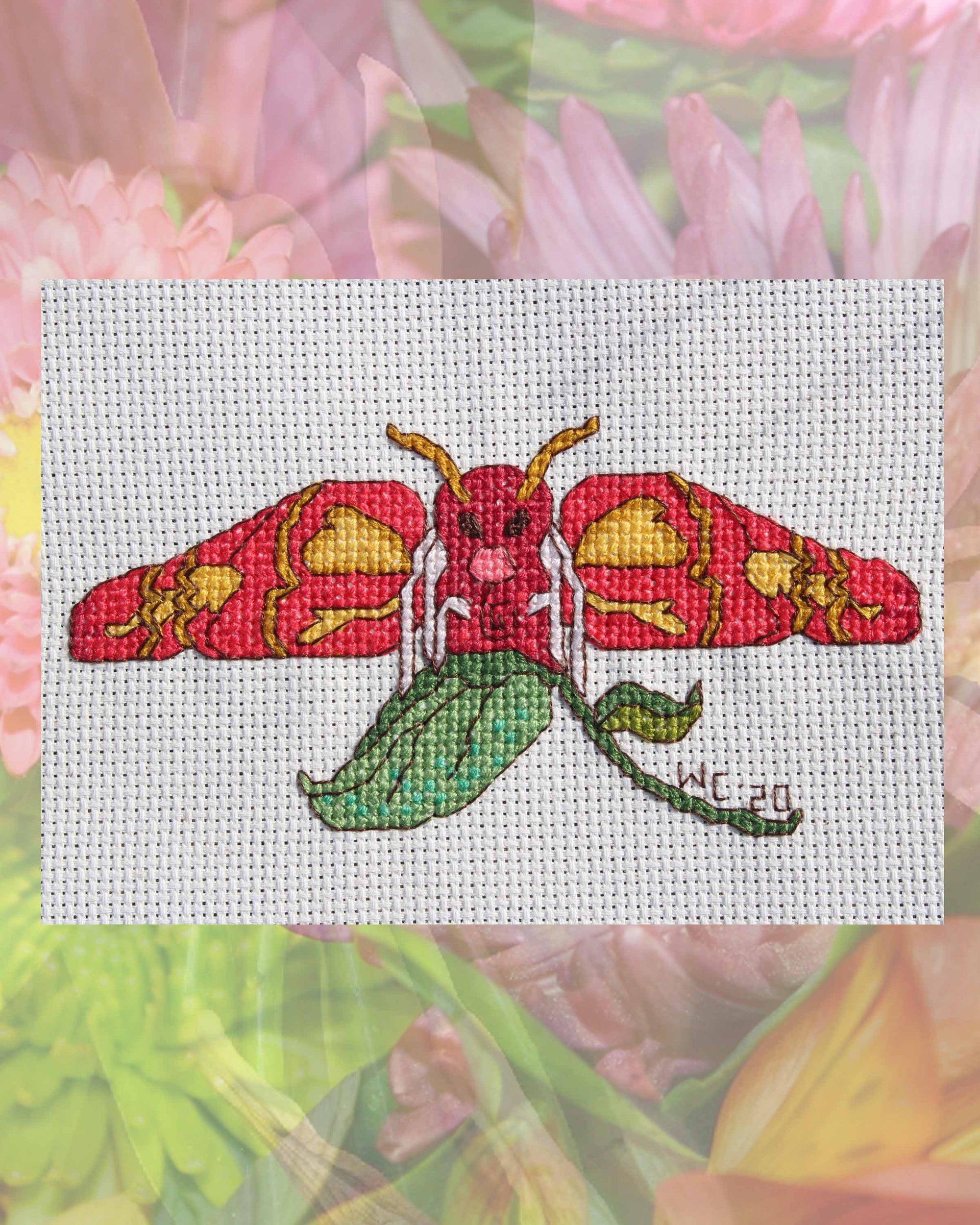Pink Butterfly Moth Elephant Hawk Moth on a green leaf cross stitch pattern for sale digital PDF download no shipping designed by Wendy Christine at www.raspberrylanecrafts.com  DMC floss list pinks golds yellows and greens