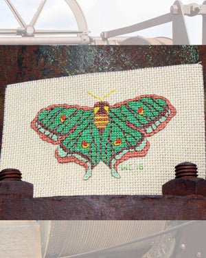 Spanish Moon Moth Cross Stitch (PDF Pattern)