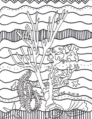 The Art of Wendy Christine Coloring Page Coral Island features black and white outlines to color of three different corals shells and a starfish on a decorated background.  So fun to color.  Be artistic and choose your own color scheme.  Purchase this in the PDF Download book The Art of Wendy Christine Coloring Book at Raspberry Lane Crafts www.raspberrylanecrafts.com  Thank you for your purchase!
