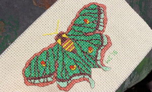 Spanish Moon Moth Cross Stitch Pattern features a vivid green moth resembling a butterfly with brown stripes, aqua and rust edges and yellow and orange highlights.  Buy purchase for sale at Raspberry Lane Crafts www.raspberrylanecrafts.com Design by Wendy Christine American artist.  International sales available.
