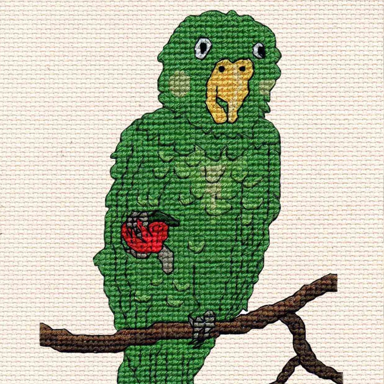 Amazon Parrot Cross Stitch Digital Pattern - Raspberry Lane Crafts