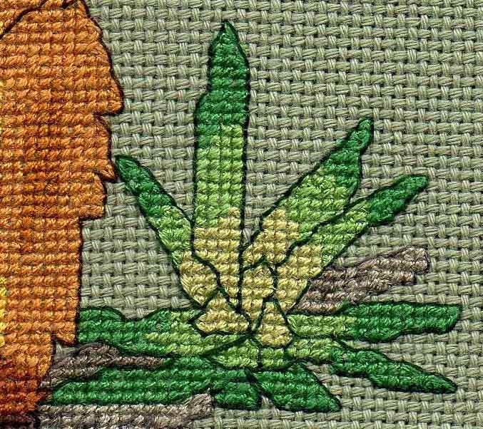 Golden Lion Tamarin Cross Stitch Pattern Download - Raspberry Lane Crafts