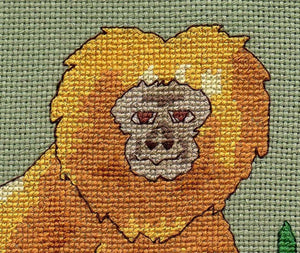 Golden Lion Tamarin Cross Stitch Pattern Download - Raspberry Lane Crafts