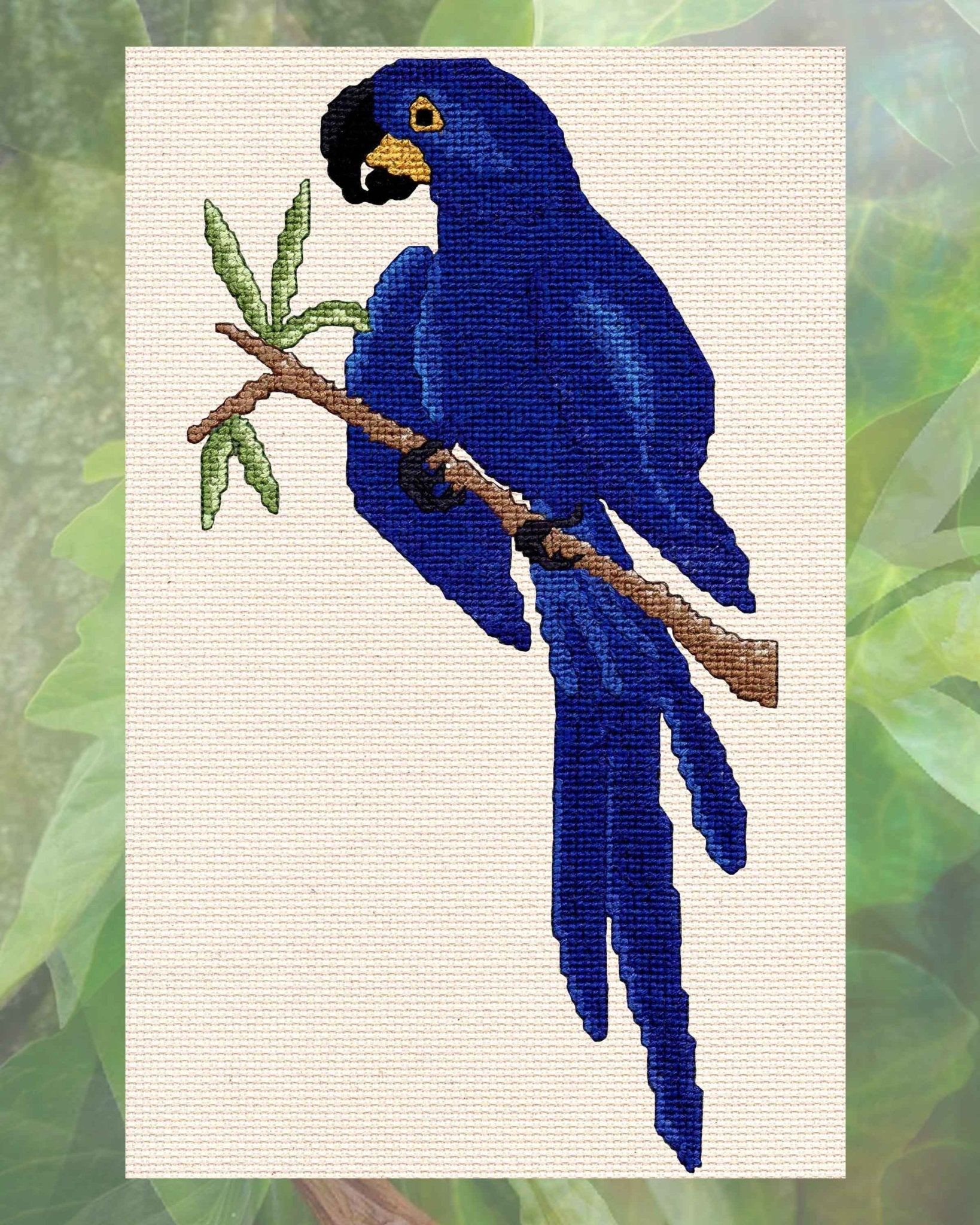 Hyacinth Macaw Cross Stitch Pattern Download - Raspberry Lane Crafts