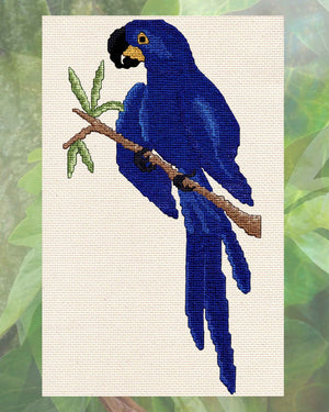 Hyacinth Macaw Cross Stitch Pattern Download - Raspberry Lane Crafts