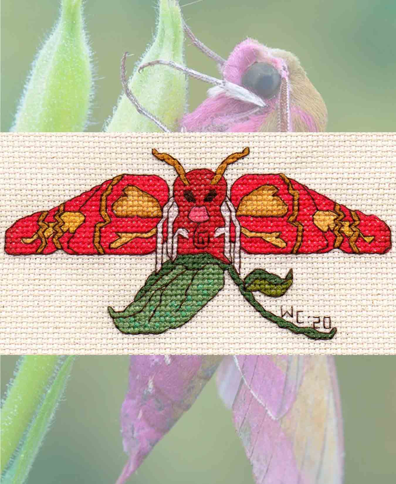 Pink Moth Cross Stitch Pattern Download - Raspberry Lane Crafts