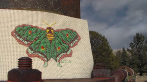 Spanish Moon Moth Cross Stitch (PDF Pattern)