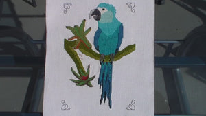 Spix's Macaw Cross Stitch (PDF Pattern)