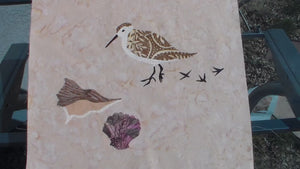 Sandpiper and the Shells Quilt (PDF Pattern)