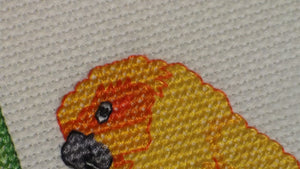 Sun Conure Cross Stitch (PDF Pattern)