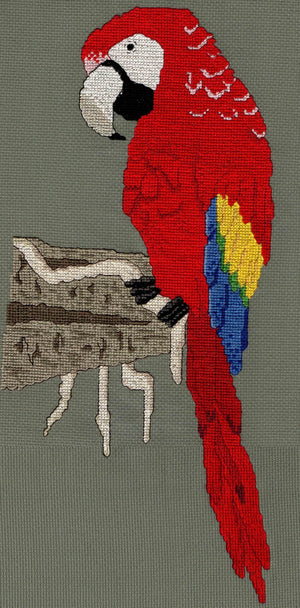 Scarlet Macaw on Clay Cliffs Cross Stitch Pattern Download - Raspberry Lane Crafts