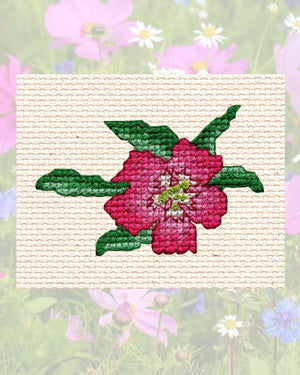Simple Flowers Cross Stitch Collection Download - Raspberry Lane Crafts
