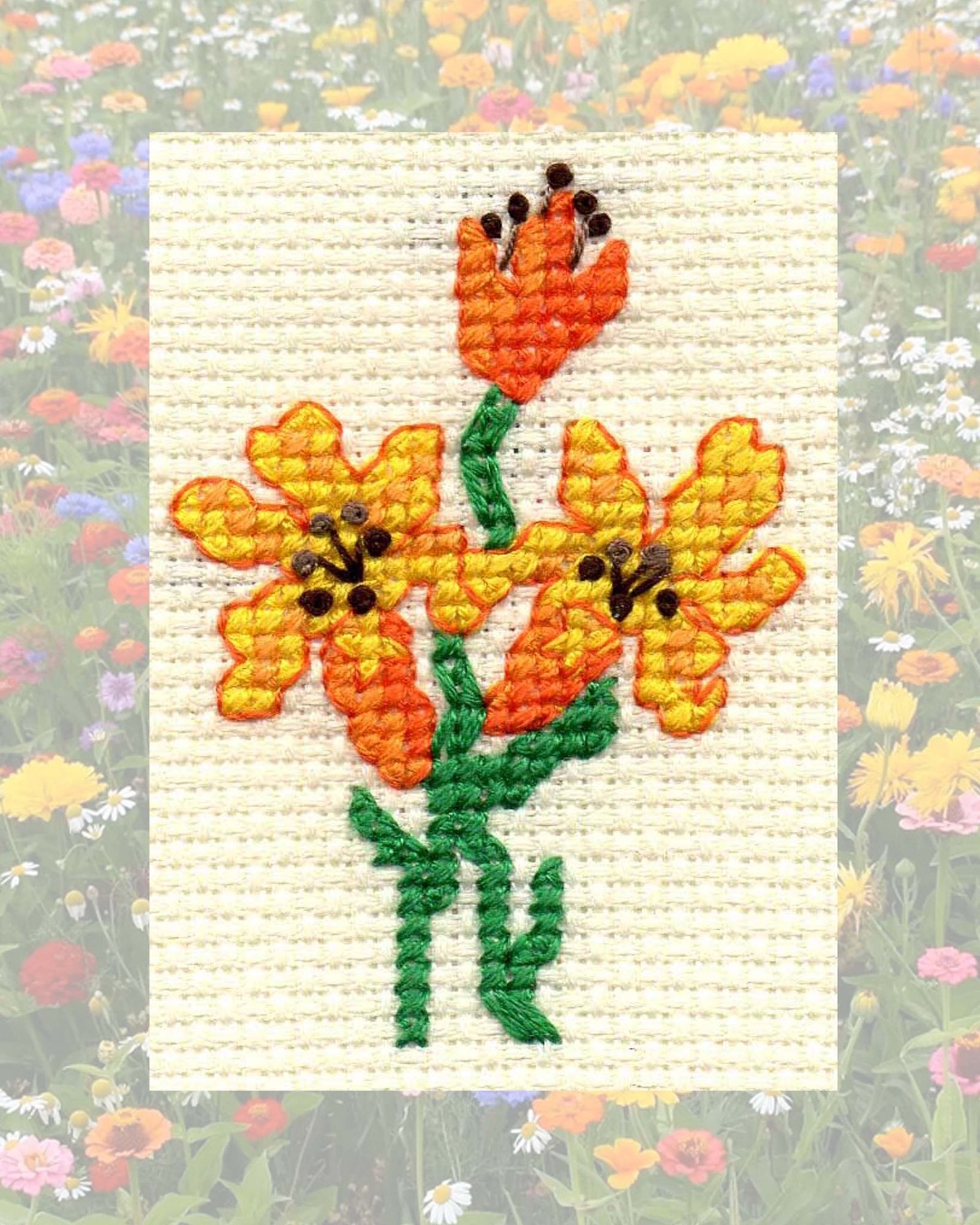 Yellow and orange flowers with green stems cross stitch pattern is part of four  patterns included in the Simple Flowers Collection at Raspberry Lane Crafts designed by American designer Wendy Christine available as a download PDF digital file with no shipping.  Thank you for your purchase!