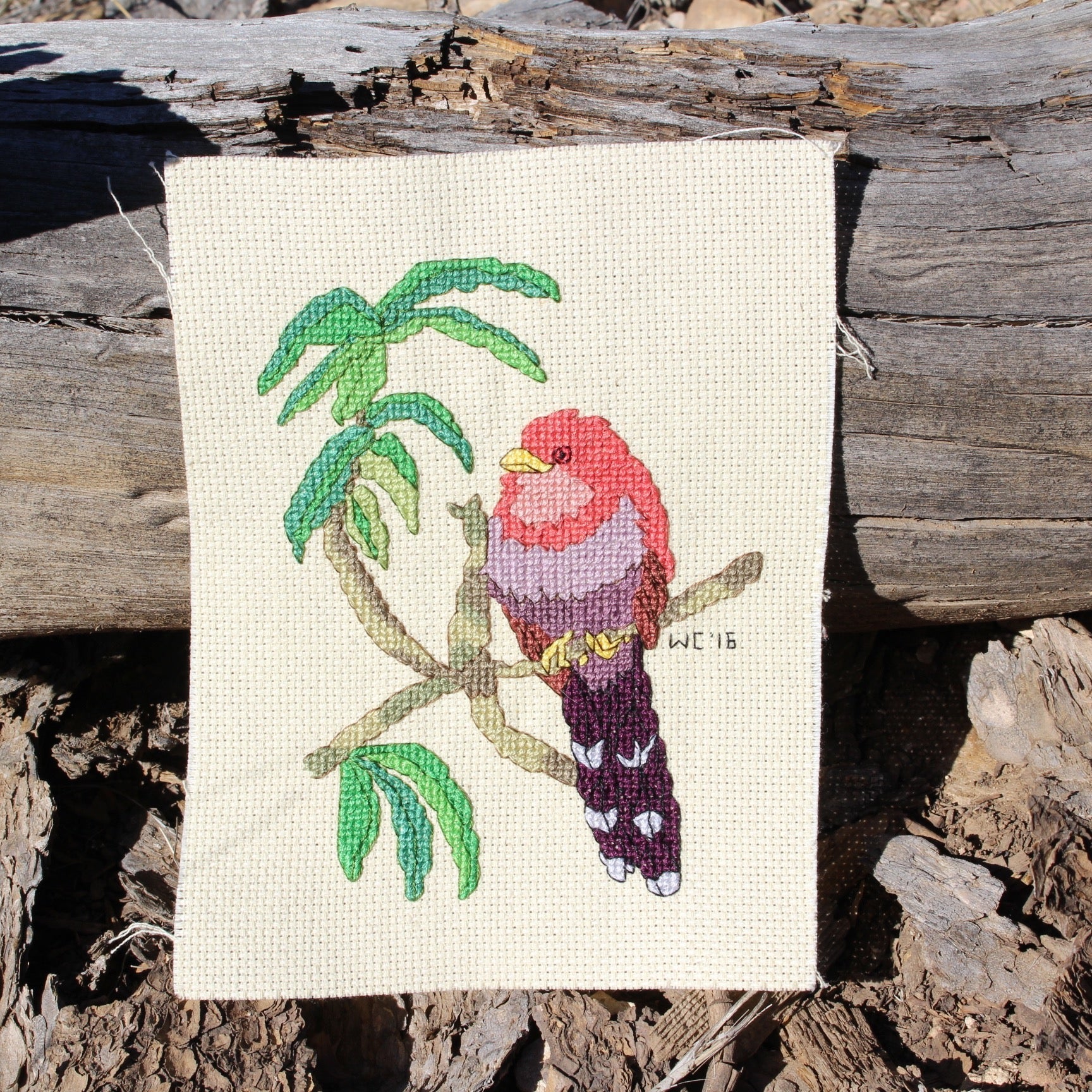 Squirrel Cuckoo Cross Stitch Pattern Download - Raspberry Lane Crafts