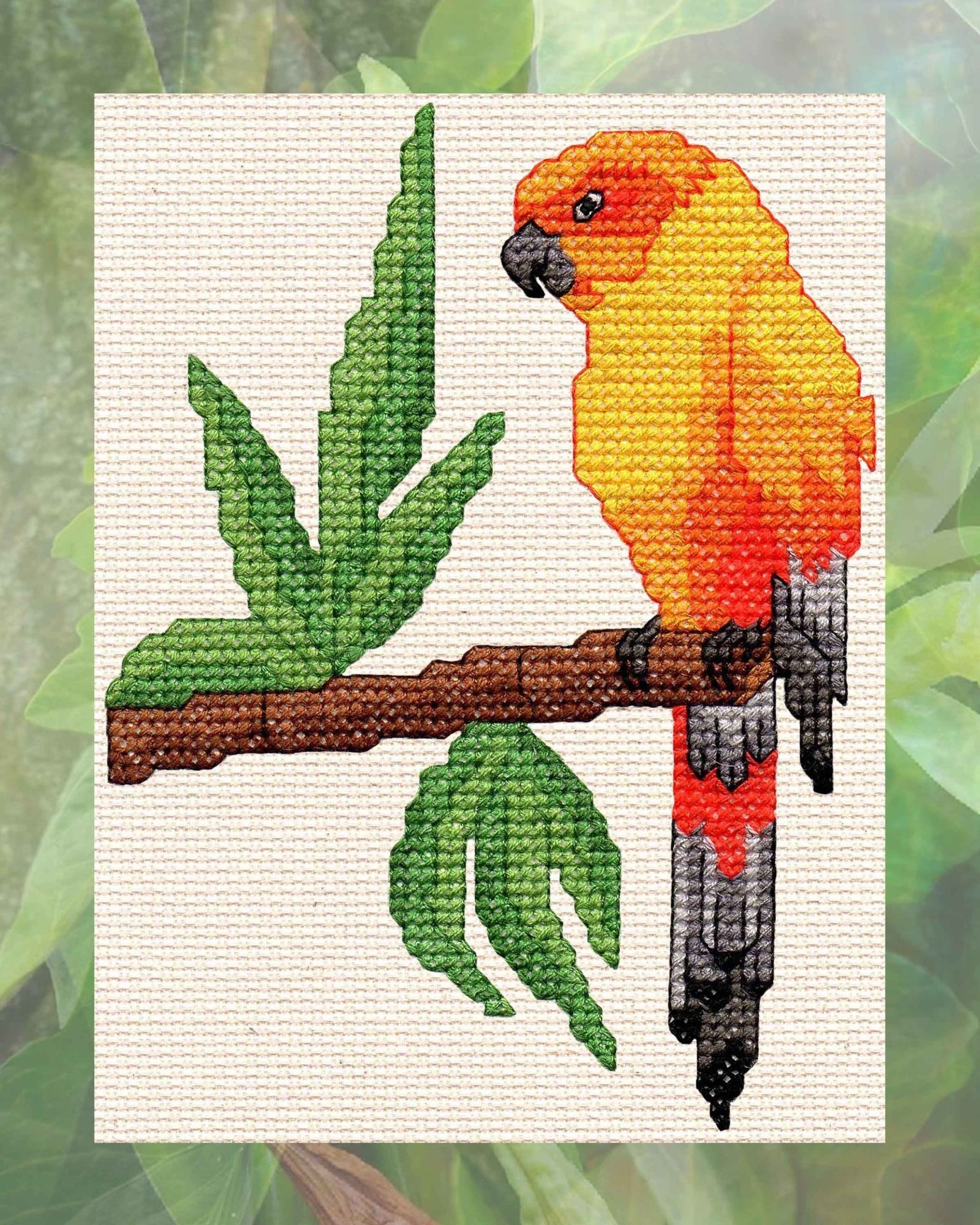 Sun Conure Cross Stitch Pattern Download - Raspberry Lane Crafts