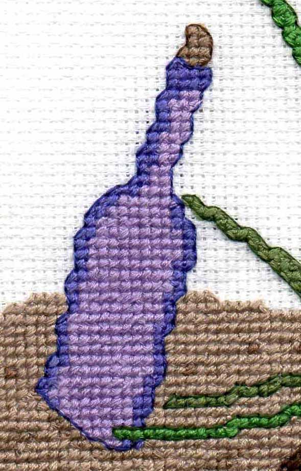 The Crab and the Bottle Cross Stitch Pattern Download - Raspberry Lane Crafts