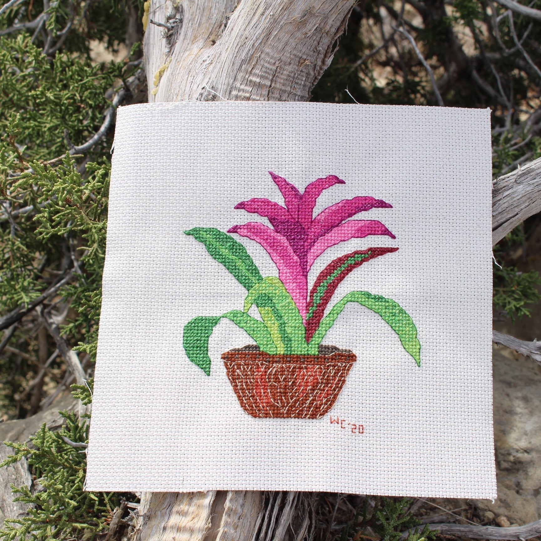 Voodoo Doll Bromeliad Cross Stitch Pattern Download - Raspberry Lane Crafts